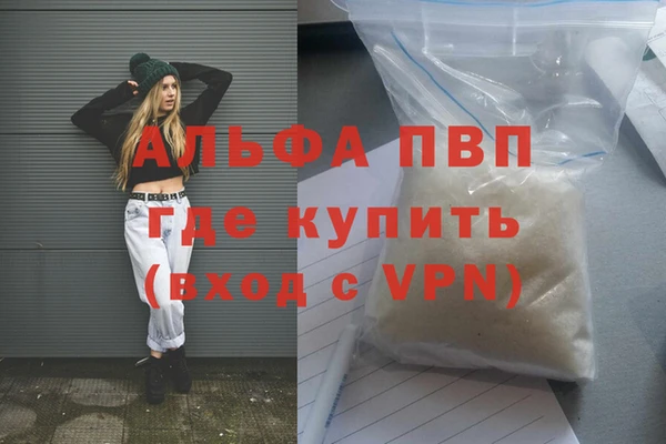 крисы Алзамай