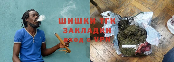 крисы Алзамай