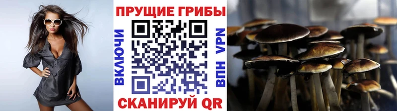 где найти   гидра рабочий сайт  Галлюциногенные грибы GOLDEN TEACHER  Белово 